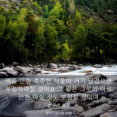 Picture 03 - 레위기 11:34 KOR - 먹을 만한 축축한 식물이 거기 - Bible Verse Picture