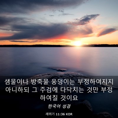 Picture 03 - 레위기 11:36 KOR - 샘물이나 방축물 웅덩이는 - Bible Verse Picture