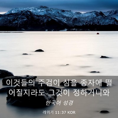Picture 03 - 레위기 11:37 KOR - 이것들의 주검이 심을 종자에 - Bible Verse Picture