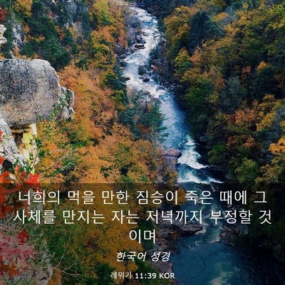 Picture 03 - 레위기 11:39 KOR - 너희의 먹을 만한 짐승이 죽은 때에 - Bible Verse Picture