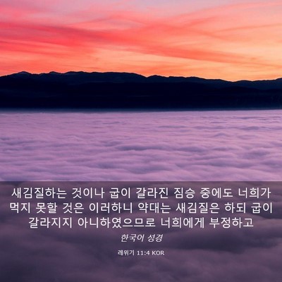 Picture 03 - 레위기 11:4 KOR - 새김질하는 것이나 굽이 갈라진 짐승 - Bible Verse Picture
