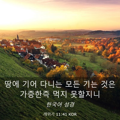 Picture 03 - 레위기 11:41 KOR - 땅에 기어 다니는 모든 기는 것은 - Bible Verse Picture