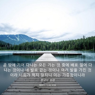 Picture 03 - 레위기 11:42 KOR - 곧 땅에 기어 다니는 모든 기는 것 - Bible Verse Picture