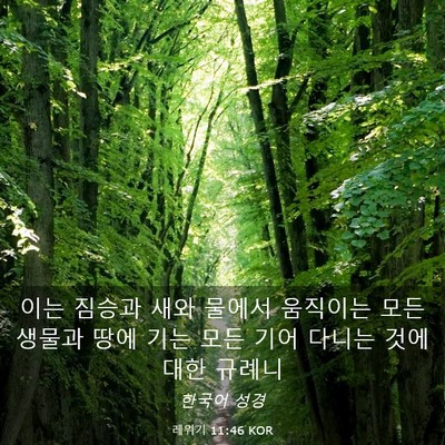 Picture 03 - 레위기 11:46 KOR - 이는 짐승과 새와 물에서 움직이는 - Bible Verse Picture