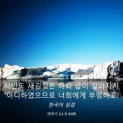 Picture 03 - 레위기 11:5 KOR - 사반도 새김질은 하되 굽이 갈라지지 - Bible Verse Picture