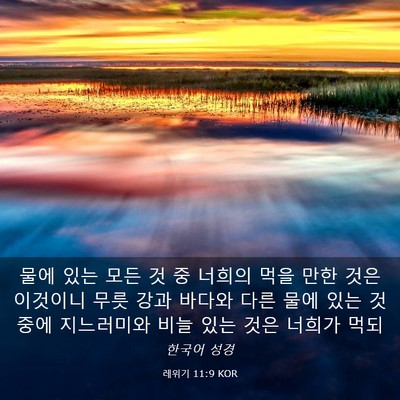 Picture 03 - 레위기 11:9 KOR - 물에 있는 모든 것 중 너희의 먹을 - Bible Verse Picture