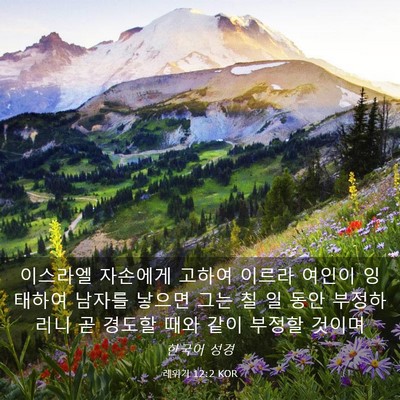 Picture 03 - 레위기 12:2 KOR - 이스라엘 자손에게 고하여 이르라 - Bible Verse Picture