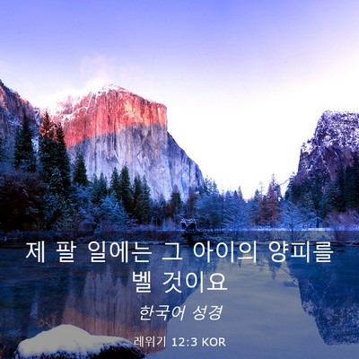 Picture 03 - 레위기 12:3 KOR - 제 팔 일에는 그 아이의 양피를 벨 - Bible Verse Picture