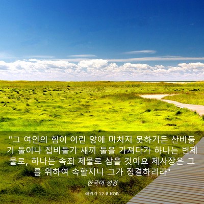 Picture 03 - 레위기 12:8 KOR - 