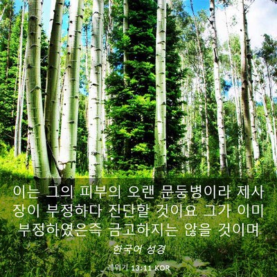 Picture 03 - 레위기 13:11 KOR - 이는 그의 피부의 오랜 문둥병이라 - Bible Verse Picture