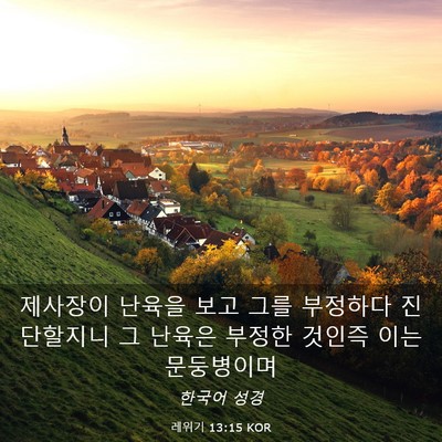 Picture 03 - 레위기 13:15 KOR - 제사장이 난육을 보고 그를 부정하다 - Bible Verse Picture