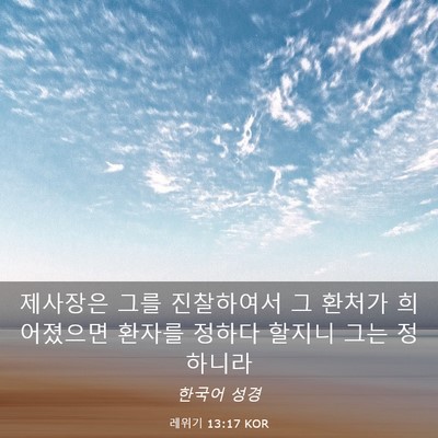 Picture 03 - 레위기 13:17 KOR - 제사장은 그를 진찰하여서 그 환처가 - Bible Verse Picture