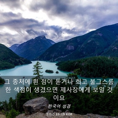 Picture 03 - 레위기 13:19 KOR - 그 종처에 흰 점이 돋거나 희고 - Bible Verse Picture