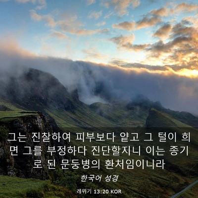 Picture 03 - 레위기 13:20 KOR - 그는 진찰하여 피부보다 얕고 그 - Bible Verse Picture