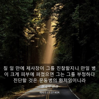 Picture 03 - 레위기 13:27 KOR - 칠 일 만에 제사장이 그를 - Bible Verse Picture