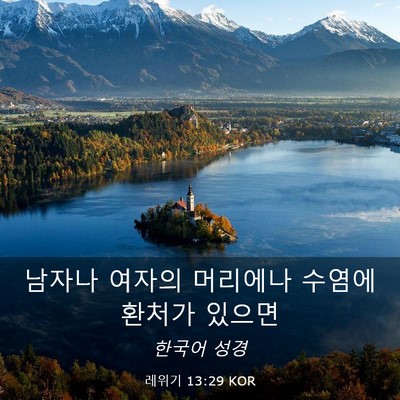 Picture 03 - 레위기 13:29 KOR - 남자나 여자의 머리에나 수염에 - Bible Verse Picture
