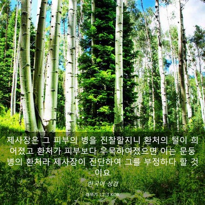 Picture 03 - 레위기 13:3 KOR - 제사장은 그 피부의 병을 진찰할지니 - Bible Verse Picture