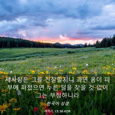 Picture 03 - 레위기 13:36 KOR - 제사장은 그를 진찰할지니 과연 옴이 - Bible Verse Picture