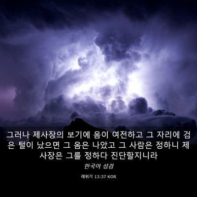 Picture 03 - 레위기 13:37 KOR - 그러나 제사장의 보기에 옴이 - Bible Verse Picture
