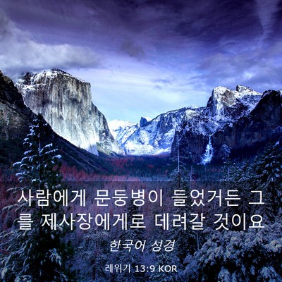 Picture 03 - 레위기 13:9 KOR - 사람에게 문둥병이 들었거든 그를 - Bible Verse Picture