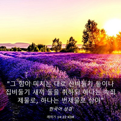 Picture 03 - 레위기 14:22 KOR - 