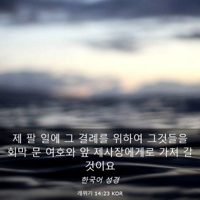 Picture 03 - 레위기 14:23 KOR - 제 팔 일에 그 결례를 위하여 - Bible Verse Picture