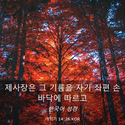 Picture 03 - 레위기 14:26 KOR - 제사장은 그 기름을 자기 좌편 - Bible Verse Picture