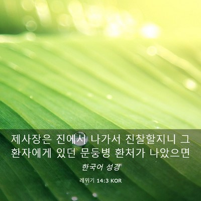 Picture 03 - 레위기 14:3 KOR - 제사장은 진에서 나가서 진찰할지니 - Bible Verse Picture