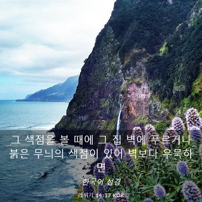Picture 03 - 레위기 14:37 KOR - 그 색점을 볼 때에 그 집 벽에 - Bible Verse Picture