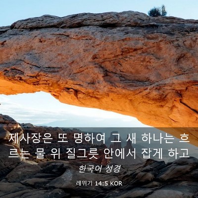 Picture 03 - 레위기 14:5 KOR - 제사장은 또 명하여 그 새 하나는 - Bible Verse Picture