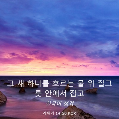 Picture 03 - 레위기 14:50 KOR - 그 새 하나를 흐르는 물 위 질그릇 - Bible Verse Picture