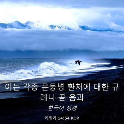Picture 03 - 레위기 14:54 KOR - 이는 각종 문둥병 환처에 대한 - Bible Verse Picture