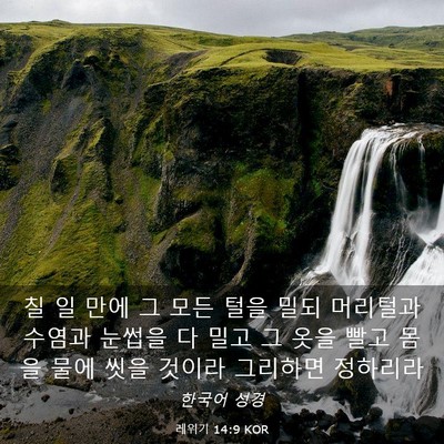 Picture 03 - 레위기 14:9 KOR - 칠 일 만에 그 모든 털을 밀되 - Bible Verse Picture