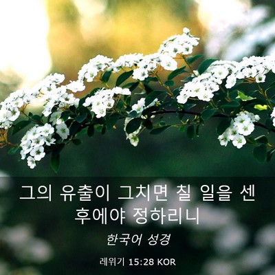 Picture 03 - 레위기 15:28 KOR - 그의 유출이 그치면 칠 일을 센 - Bible Verse Picture