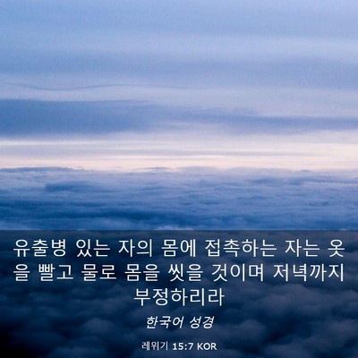 Picture 03 - 레위기 15:7 KOR - 유출병 있는 자의 몸에 접촉하는 - Bible Verse Picture