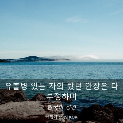 Picture 03 - 레위기 15:9 KOR - 유출병 있는 자의 탔던 안장은 다 - Bible Verse Picture