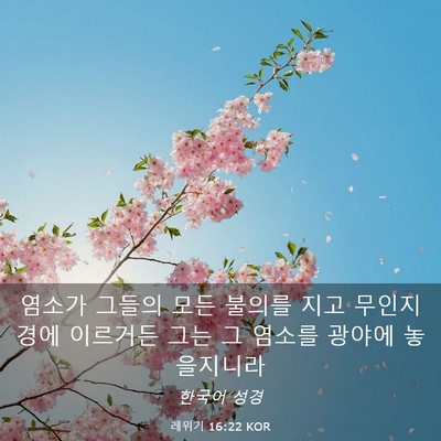Picture 03 - 레위기 16:22 KOR - 염소가 그들의 모든 불의를 지고 - Bible Verse Picture