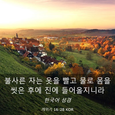 Picture 03 - 레위기 16:28 KOR - 불사른 자는 옷을 빨고 물로 몸을 - Bible Verse Picture