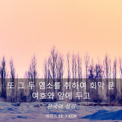 Picture 03 - 레위기 16:7 KOR - 또 그 두 염소를 취하여 회막 문 - Bible Verse Picture