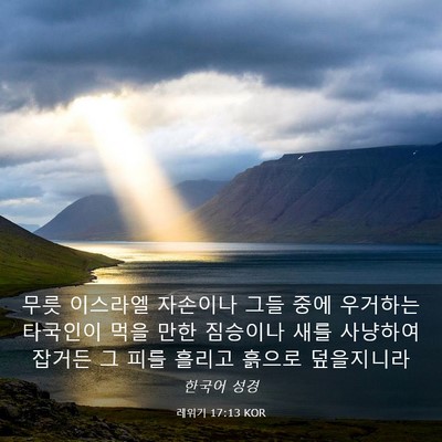 Picture 03 - 레위기 17:13 KOR - 무릇 이스라엘 자손이나 그들 중에 - Bible Verse Picture