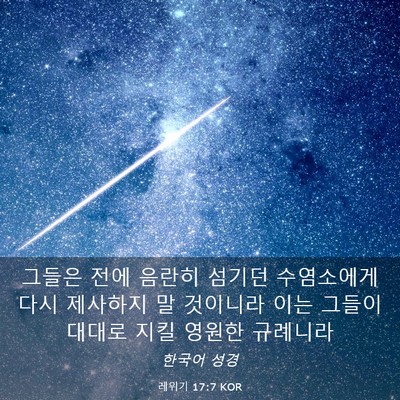 Picture 03 - 레위기 17:7 KOR - 그들은 전에 음란히 섬기던 - Bible Verse Picture