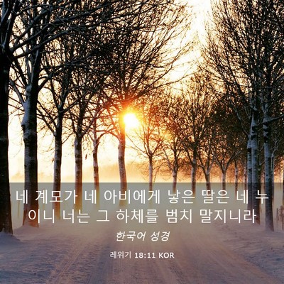 Picture 03 - 레위기 18:11 KOR - 네 계모가 네 아비에게 낳은 딸은 네 - Bible Verse Picture