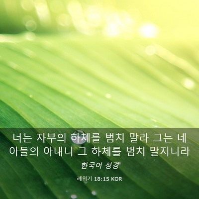 Picture 03 - 레위기 18:15 KOR - 너는 자부의 하체를 범치 말라 그는 - Bible Verse Picture
