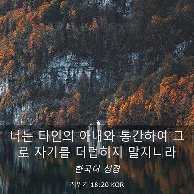Picture 03 - 레위기 18:20 KOR - 너는 타인의 아내와 통간하여 그로 - Bible Verse Picture
