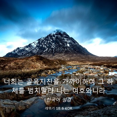 Picture 03 - 레위기 18:6 KOR - 너희는 골육지친을 가까이하여 그 - Bible Verse Picture