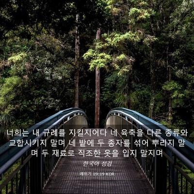 Picture 03 - 레위기 19:19 KOR - 너희는 내 규례를 지킬지어다 네 - Bible Verse Picture