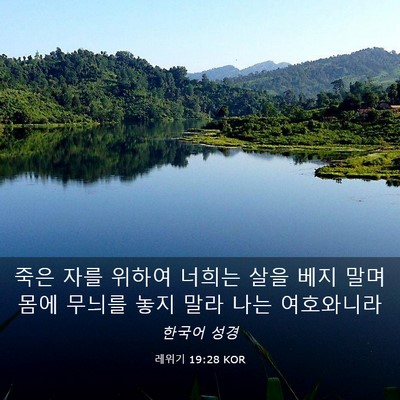 Picture 03 - 레위기 19:28 KOR - 죽은 자를 위하여 너희는 살을 베지 - Bible Verse Picture
