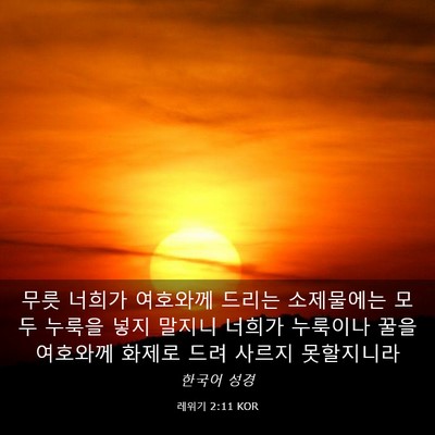 Picture 03 - 레위기 2:11 KOR - 무릇 너희가 여호와께 드리는 - Bible Verse Picture