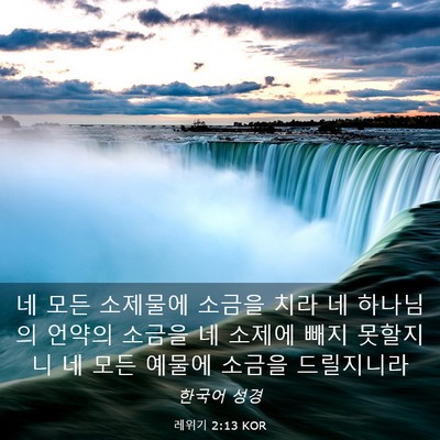 Picture 03 - 레위기 2:13 KOR - 네 모든 소제물에 소금을 치라 네 - Bible Verse Picture