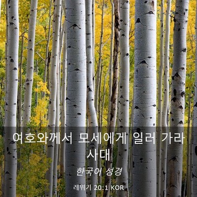 Picture 03 - 레위기 20:1 KOR - 여호와께서 모세에게 일러 - Bible Verse Picture